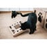 Фото #4 товара Когтеточка для котов Carton+Pets Бронзовый Картон 34,5 x 4 x 34,5 cm