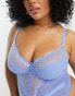 Фото #4 товара Ivory Rose Curve B-G lace mesh bodysuit in blue