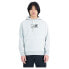 Фото #1 товара NEW BALANCE Essentials Brushed hoodie