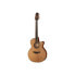 Takamine P3NC Pro Serie w/Softc B-Stock