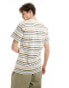 Vans cullen striped t-shirt in green multi