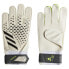ADIDAS Predator Goalkeeper Gloves