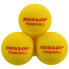 Фото #2 товара DUNLOP Indoor Foam Tennis Ball 12 Units