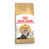 Фото #1 товара Корм для котов Royal Canin Persian Adult Для взрослых Растительный птицы 10 kg