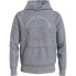 TOMMY HILFIGER Monotype Roundall hoodie