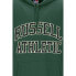 RUSSELL ATHLETIC E36072 Center hoodie