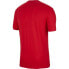 Фото #2 товара T-Shirt Nike Poland TEE Evergreen Crest M CU9191 611
