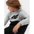 Фото #5 товара 4F Jr sweatshirt 4FJAW23TSWSM628-27M