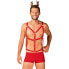 Фото #1 товара Mr Reindy Shorts, Harness and Headband Set