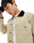 Фото #1 товара Dickies duck canvas unlined chore jacket in light tan