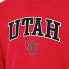 NCAA Utah Utes Men's Heathered Crew Neck Fleece Sweatshirt - S