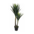 Фото #2 товара Декоративное растение Mica Decorations Yucca (120 x 60 cm)
