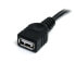 StarTech.com 6 ft Black USB 2.0 Extension Cable A to A - M/F - 1.83 m - USB A - USB A - Male/Female - 480 Mbit/s - Black