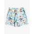 Фото #4 товара QUIKSILVER Garden Path 15 Swimming Shorts