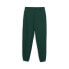 Puma Trophy Hunting X Sweatpants Womens Green Casual Athletic Bottoms 62324001