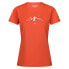 Фото #3 товара REGATTA Fingal VIII short sleeve T-shirt