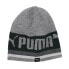 Фото #1 товара Puma Evolve Reversible Beanie Mens Size OSFA Casual Travel 858396-02