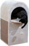 Фото #4 товара Trixie Wieża dla kota Dasio , 82 cm, jasnoszary/brąz