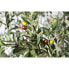 Decorative Plant Romimex Plastic Olive tree 180 x 250 x 180 cm