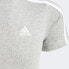 ADIDAS Lk 3S Co short sleeve T-shirt