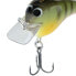 Shimano Bluegill MACBETH TINY Crankbait (MB39BG) Fishing