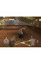 Фото #5 товара Игра для приставки PlayStation 2 Red Mile Lucinda Green's Equestrian Challenge