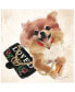 Фото #1 товара "Pomeranian" Unrameled Free Floating Tempered Glass Panel Graphic Dog Wall Art Print 20" x 20", 20" x 20" x 0.2"