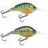 Фото #2 товара LIVE TARGET Pumpkinseed PS70M Floating crankbait 14g 70 mm