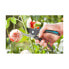 Садовые ножницы Gardena 8904 24 mm