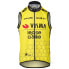 AGU Replica Visma | Lease a Bike 2024 gilet