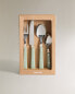 Cutlery set with pastel handle (set of 4)