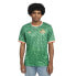 Фото #2 товара UMBRO Ireland Iconic Graphic short sleeve T-shirt