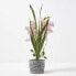 Фото #3 товара Künstliche Orchidee im Zement-Topf 58 cm