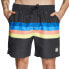 MYSTIC Stripe Swimming Shorts