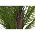 Декоративное растение Home ESPRIT полиэтилен Цемент Пальмовое 100 x 100 x 235 cm