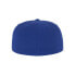 Фото #2 товара FLEXFIT Cap Premium 210