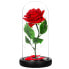 Фото #1 товара Rose im Glas 22 cm mit LED-Lichterkette