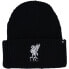 Фото #1 товара Cap 47 Brand EPL Liverpool FC Cuff Knit Hat EPL-UPRCT04ACE-BK