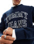 Tommy Jeans vintage outline sweatshirt in navy