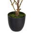 Фото #2 товара Декоративное растение полиэстер полиэтилен Железо 25 x 25 x 49 cm Magnolia
