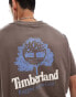 Timberland large tree logo backprint t-shirt in brown