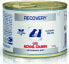 Фото #1 товара Royal Canin Veterinary Diet Recovery puszka 195g