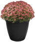 Фото #3 товара Eclipse Round Plastic Planter w Saucer 12 - Black