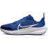 Фото #1 товара Nike Air Zoom Pegasus 40 GS