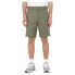 DICKIES Cobden Shorts