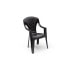 Фото #1 товара Садовые стулья Monoblock Capri от brand Set - модель 4 шт. Антрацит