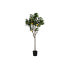 Tree DKD Home Decor Lemon tree Polyester (74 x 74 x 150 cm)