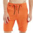 HYDROPONIC 20´ Pelham Swimming Shorts