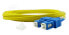 BlueOptics CAB-SMF-SC-SC-30 - 30 m - G.657.A1 - SC - SC