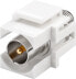 Wentronic 79938 - Flat - White - Coaxial - F connector - Female - Female